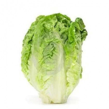 Salade Coeur de Sucrine Bio - ESPAGNE Cat2 2 pièces